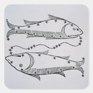 Pisces (de Vissen) een illustratie uit de 'dichter Vierkante Sticker