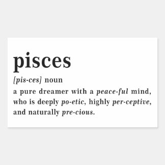 Pisces Definitie Esthetische Astrologie Cadeau Rechthoekige Sticker
