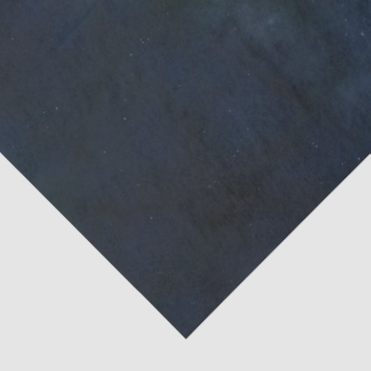 Pisces Fish Tissuepapier (Detail)