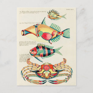 Pisces Fish Tropical Crab  Briefkaart