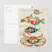 Pisces Fish Tropical Crab  Briefkaart (Voorkant / Achterkant)