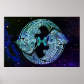 pisces het viszodiale poster (Voorkant)