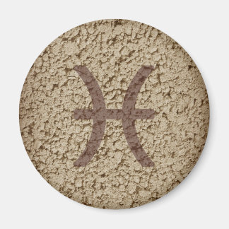 pisces magneet