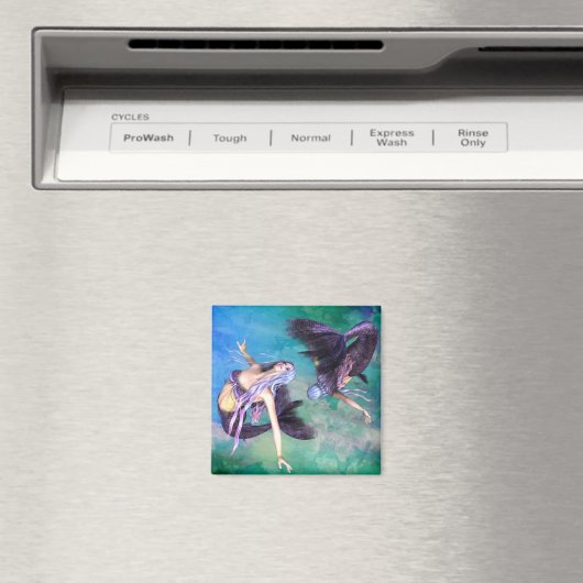 Pisces Magneet (Insitu (Vaatwasser))