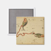 Pisces Magnet (Voorkant / Achterkant)