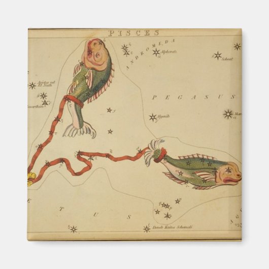Pisces Magnet (Voorkant)