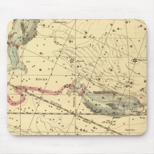 Pisces Muismat (Voorkant)