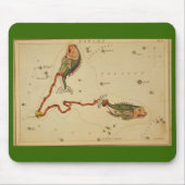 Pisces-Muismat Muismat (Voorkant)