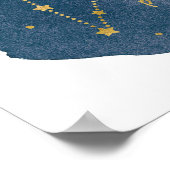 Pisces Poster (Hoek)