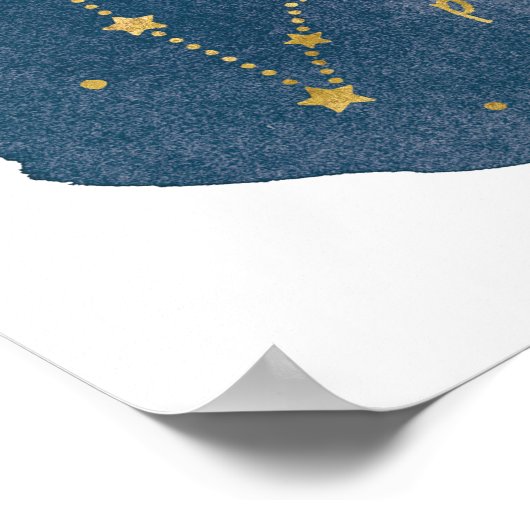 Pisces Poster (Hoek)