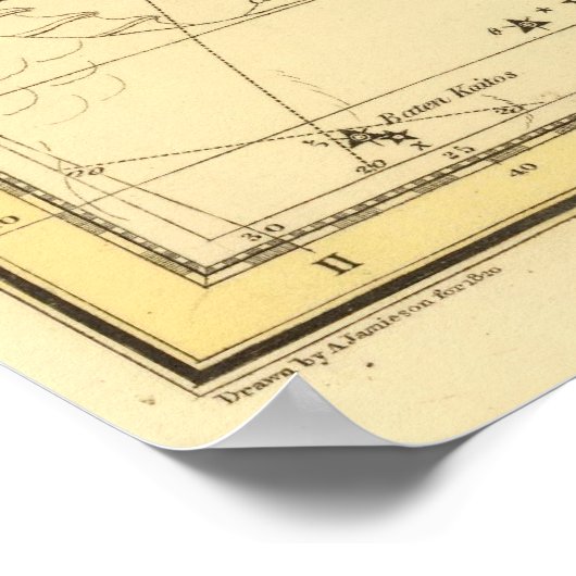 Pisces Poster (Hoek)