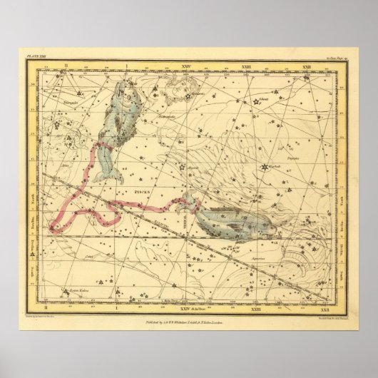 Pisces Poster (Voorkant)