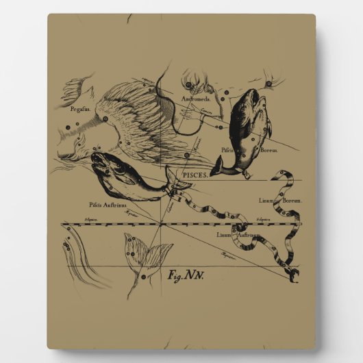 Pisces Sterrenbeeld Hevelius 1690 Decor Fotoplaat (Voorkant)