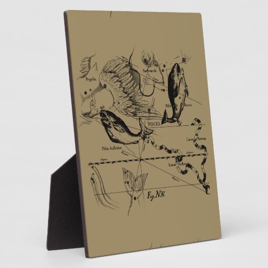 Pisces Sterrenbeeld Hevelius 1690 Decor Fotoplaat (Zijkant)