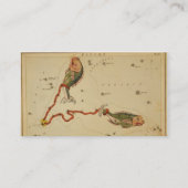 Pisces Visitekaartje (Achterkant)