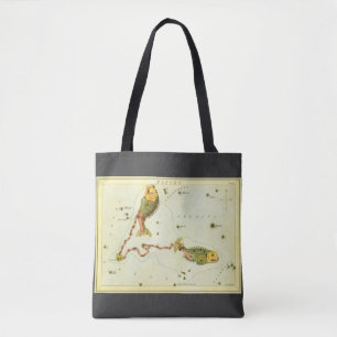 Pisces Vissen, Antieke Constellatie Urania's Spieg Tote Bag
