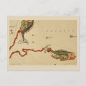 Pisces Zodiac Sign Briefkaart (Voorkant)