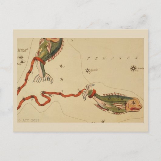 Pisces Zodiac Sign Briefkaart (Voorkant)