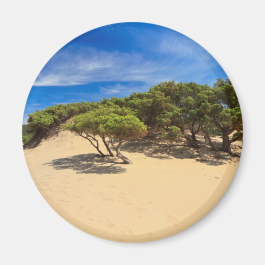 Piscinas dune - Sardinië, Italië Magneet (Voorkant)