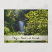 Pisgah National Forest Blue Ridge Mountains Briefkaart (Voorkant)