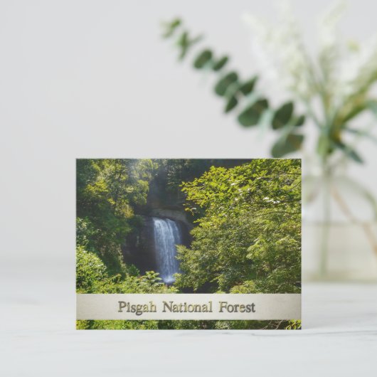 Pisgah National Forest Blue Ridge Mountains Briefkaart (Staand voorkant)