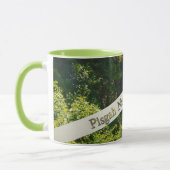 Pisgah National Forest Blue Ridge Mountains Mok (Links)