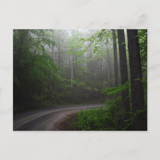 Pisgah National Forest, briefkaart North Carolina (Voorkant)