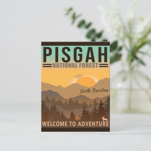 Pisgah National Forest North Carolina Briefkaart (Staand voorkant)