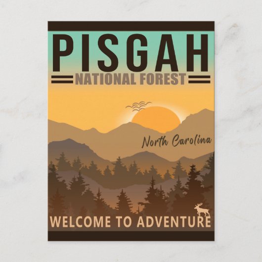 Pisgah National Forest North Carolina Briefkaart (Voorkant)