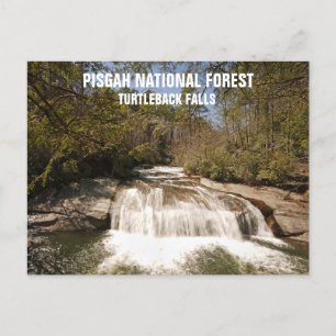 Pisgah National Forest Waterval in de Amerikaanse  Briefkaart