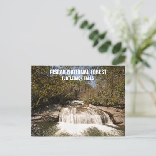 Pisgah National Forest Waterval in de Amerikaanse  Briefkaart (Staand voorkant)