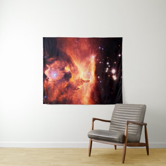 Pismis 24-1 medium wandkleed (In Situ (horizontaal))