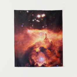 Pismis 24-1 Small Wandkleed