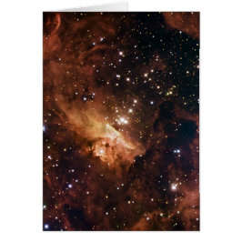 Pismis 24 bruine sterren NASA