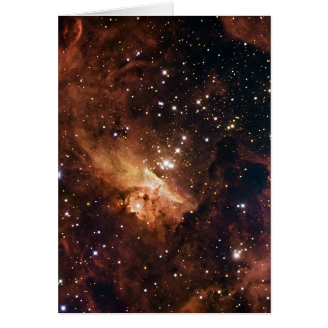 Pismis 24 bruine sterren NASA (Voorkant)