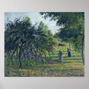 Pissarro - Appelbomen bij Eragny 1895 Poster