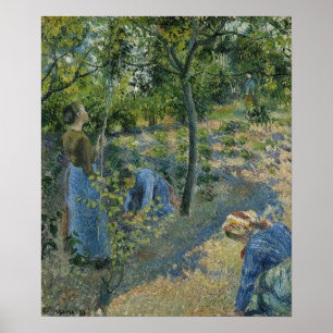 Pissarro - Apple Picking 1881 Poster