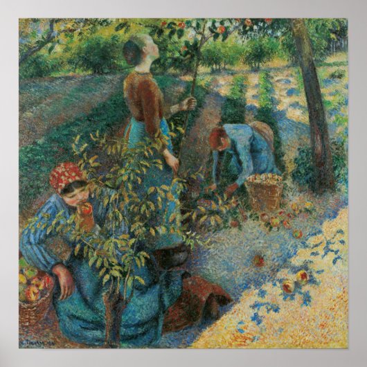 Pissarro - Apple Picking Poster (Voorkant)