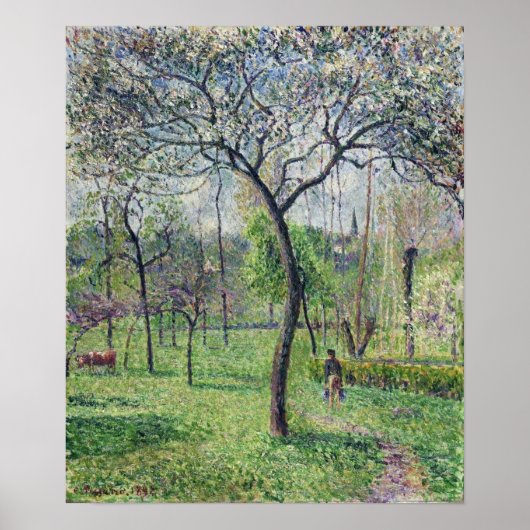 Pissarro - Boomgaard 1892 Poster (Voorkant)