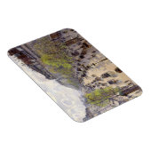 Pissarro - Boulevard Montmartre - Spring Magneet (Rechterzijde)