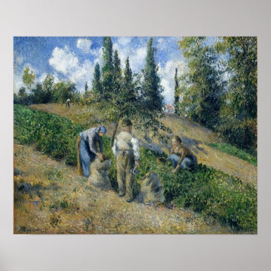 Pissarro - De Oogst Pontoise 1881 Poster (Voorkant)