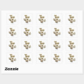 Pistachanoten. Vierkante Sticker (Vel)