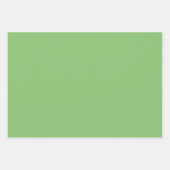 Pistache Nut Groen Effen Kleur Inpakpapier Vel (Voorkant 3)