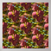 Pistaches... Poster (Voorkant)