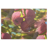 Pistaches... Stof (Fat Quarter)