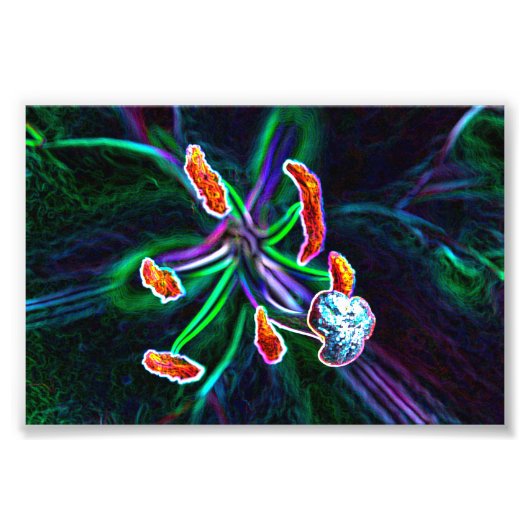 Pistilo de flor con efecto abstracto Foto Afdruk (Voorkant)