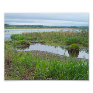 Pistool Club Lake en Marshes Foto Afdruk