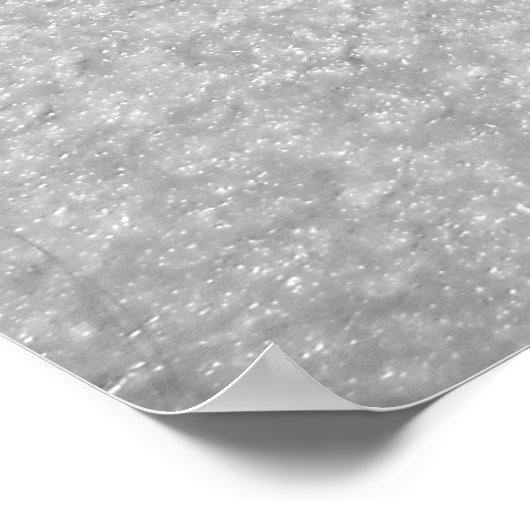 Pistool en Roos Poster (Hoek)