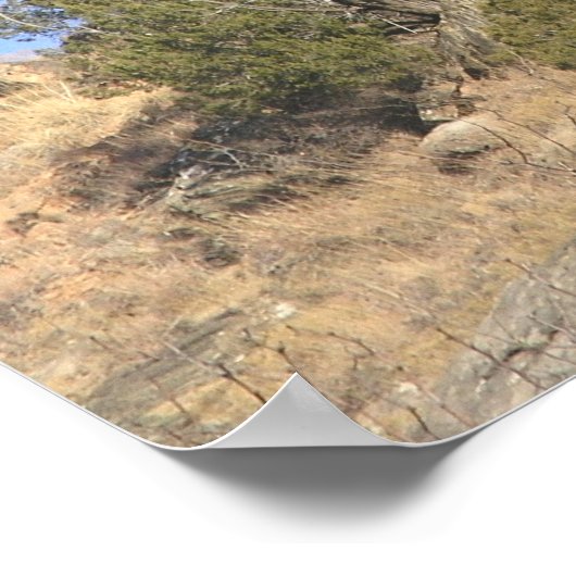 Pistool Hammer Rock Poster (Hoek)