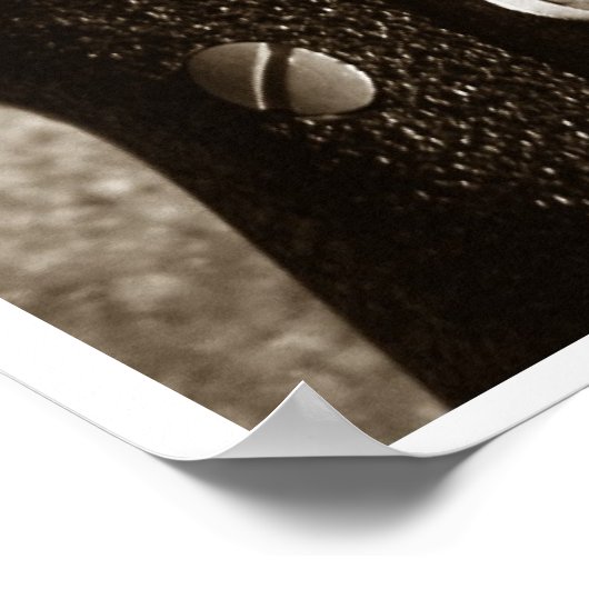 Pistool reeks poster (Hoek)